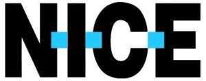 nice web logo